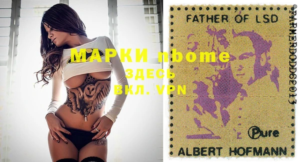 ГАЛЛЮЦИНОГЕННЫЕ ГРИБЫ Елабуга