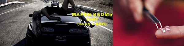 ГАЛЛЮЦИНОГЕННЫЕ ГРИБЫ Елабуга