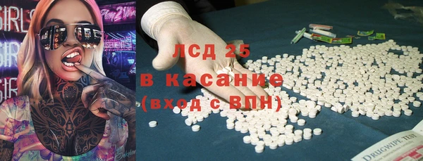 ГАЛЛЮЦИНОГЕННЫЕ ГРИБЫ Елабуга
