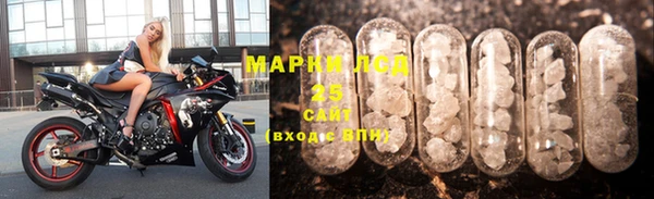 прущие грибы Иноземцево